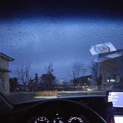 부부동반으로 초보운전 탈출했어요!ㅋㅋ