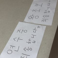 10년 장롱면허를 탈출하다니 감개무량합니더ㅜㅜ